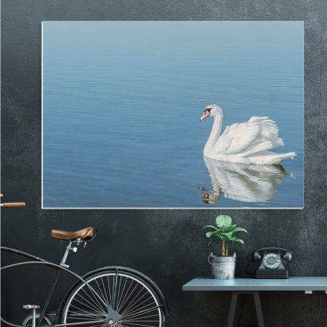 Dry-erase board 198 swan - Office arrangement. Walls in shades of gray and blue.