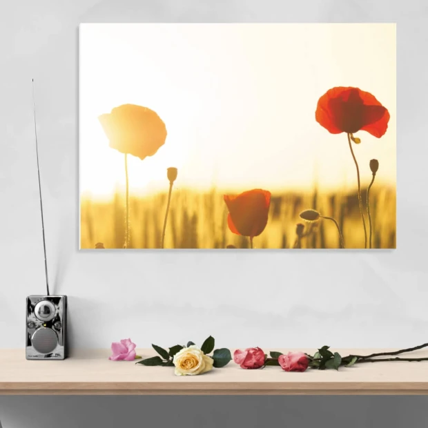 Dry-erase board 200 poppies - Graphic design. Red poppies against a light sky and wheat background.