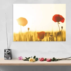 Dry-erase board 200 poppies - Graphic design. Red poppies against a light sky and wheat background.