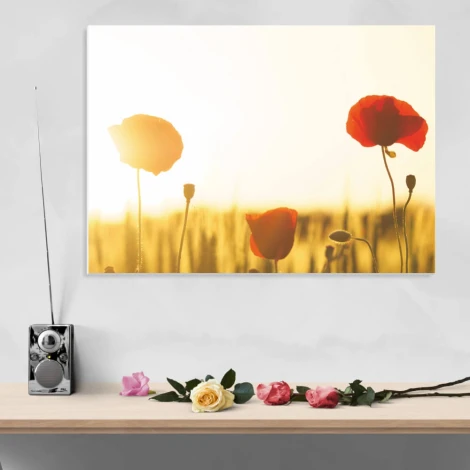 Dry-erase board 200 poppies - Graphic design. Red poppies against a light sky and wheat background.