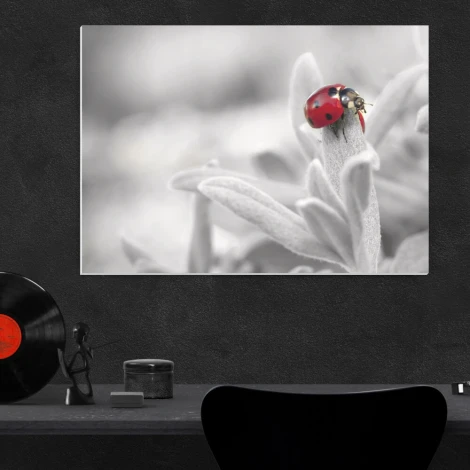 Dry-erase board 205 ladybug - Office setup with dark walls and minimalist furniture.