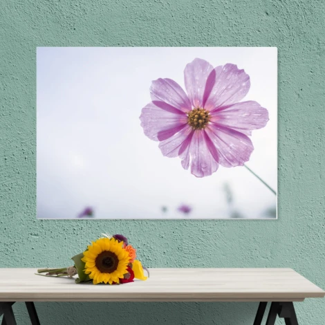 Flower dry-erase board 246 - Office setup with light-colored walls and a table featuring flowers in a vase.