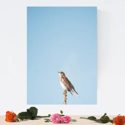 Dry-erase board bird 222 - Graphic design featuring a bird on a branch against a blue sky background.