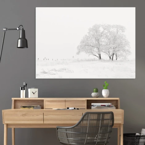 Dry-erase board winter landscape 229 - Office setup with gray walls, wooden furniture, and plants.