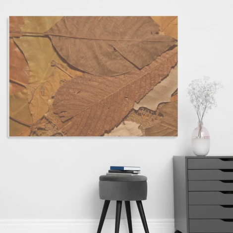 Dry-erase board 160 - Graphic design featuring various leaves in shades of brown and beige.