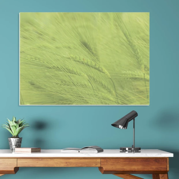 Dry-erase board 199 grain - Office setup with blue walls, wooden furniture, and greenery.
