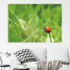 Dry-erase board 204 ladybug - Styled in a modern living room with light-colored walls and gray furniture.