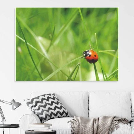 Dry-erase board 204 ladybug - Styled in a modern living room with light-colored walls and gray furniture.