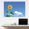 Dry-erase board sunflower 237 - Graphic design featuring a yellow sunflower against a blue sky background.