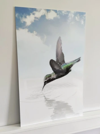 Magnetic decorative board with bird print 211, BLYSK version, reinforced with 5mm PVC backing, size 50x80cm.
