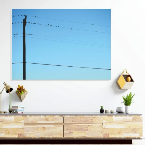 Dry-erase board with birds 249 - Modern office setup. Light-colored walls and minimalist furniture.