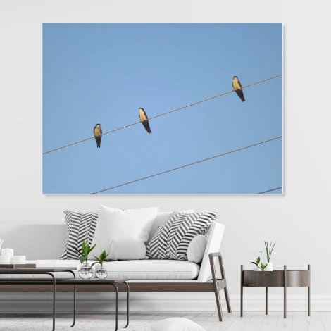 Swallow 235 dry-erase board - Styled in a modern living room with light walls and gray furniture.