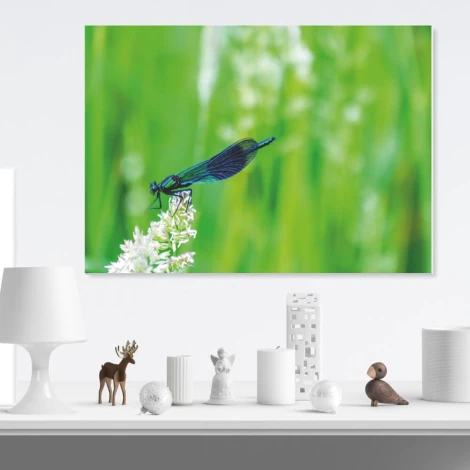 Dry-erase board dragonfly 288 - Modern office setup with light-colored walls and minimalist furniture.