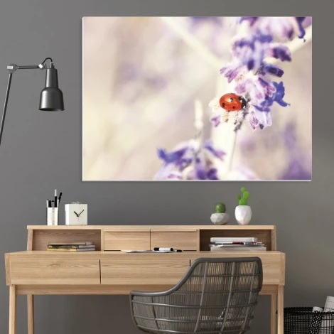 Dry-erase ladybug board 250 - Office setup with gray walls and wooden furniture.