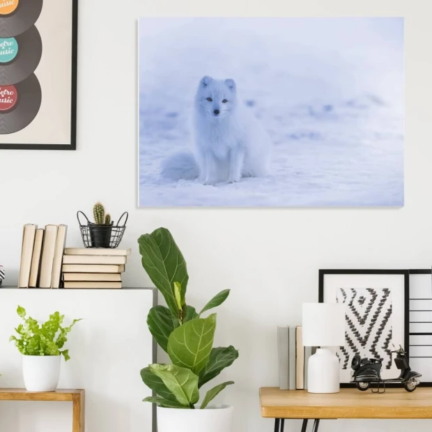 Magnetic whiteboard polar fox 248 - Office setup with light-colored walls and modern furniture.