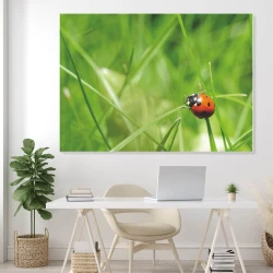 Magnetic whiteboard ladybug 204 - Office setup with light walls and greenery in the background.