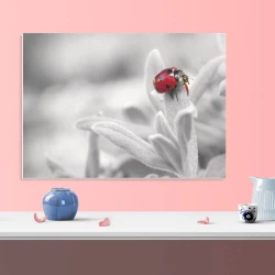 Magnetic dry-erase board ladybug 205 - Graphic design. Red insect on a gray plant background.