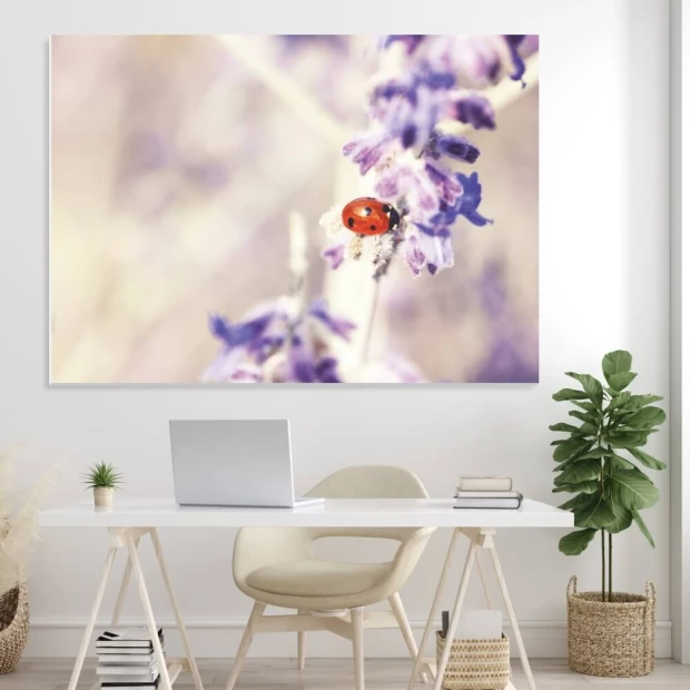 Magnetic whiteboard ladybug 250 - Office setup with light walls and greenery in the background.