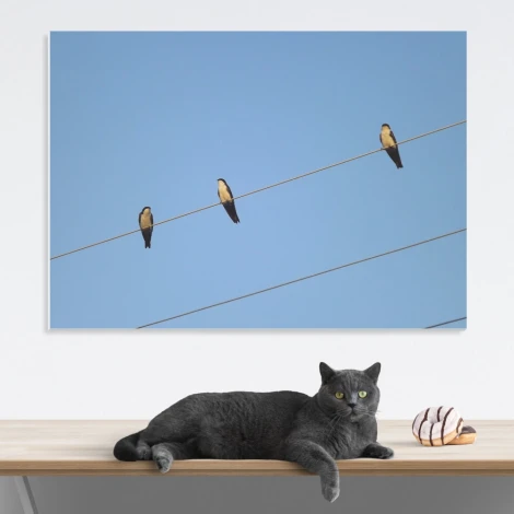 Magnetic whiteboard Swallows 235 - Styled in a room with light walls and minimalist furniture.