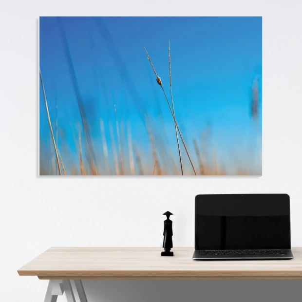 Magnetic whiteboard with a graphic design of soft, blurred grass ears on a subtle background.