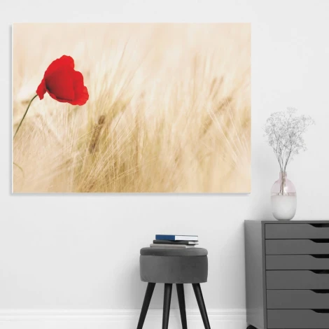 Magnetic whiteboard poppies 179 - Office setup with light-colored walls and minimalist furniture.