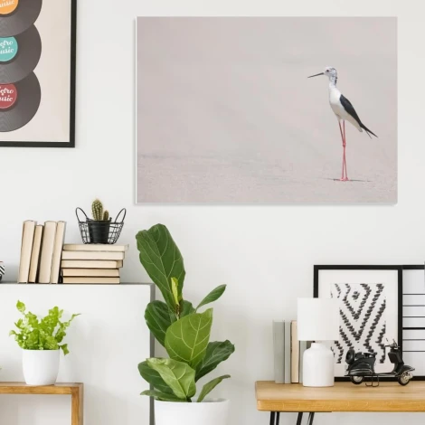 Magnetic whiteboard bird 230 - Modern office setup with light-colored walls and a minimalist design.