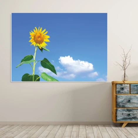 Dry-erase magnetic board sunflower 237 - Features a sunflower design against a blue sky background.