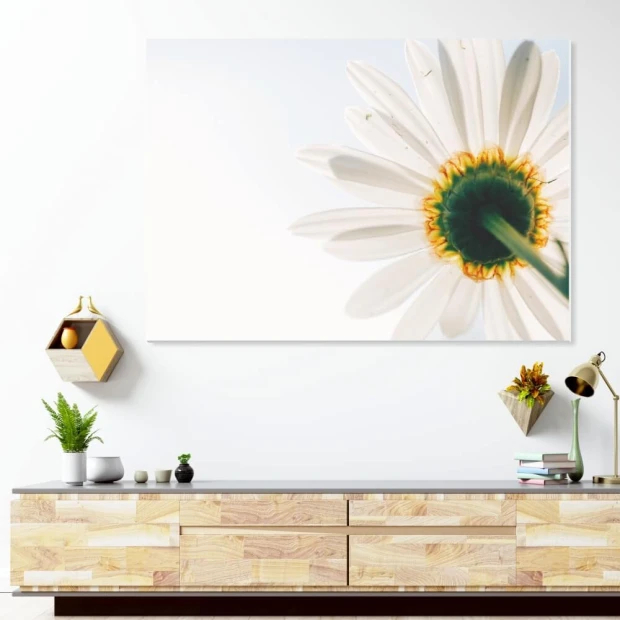 Dry-erase magnetic board Daisy 236 - Designed for modern interiors. Walls in light colors.