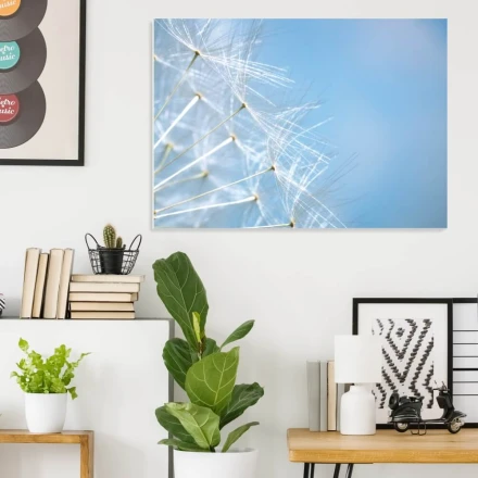 Magnetic Whiteboard Dandelion 01X 072