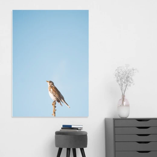 Magnetic whiteboard bird 222 - Graphic design featuring a bird on a branch against a blue background.