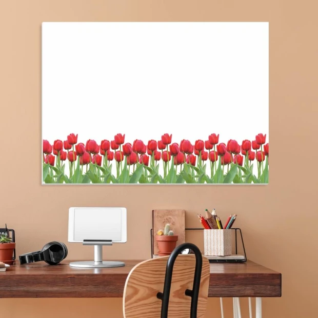 Magnetic whiteboard with a tulip design. Red tulips on green stems against a white background.