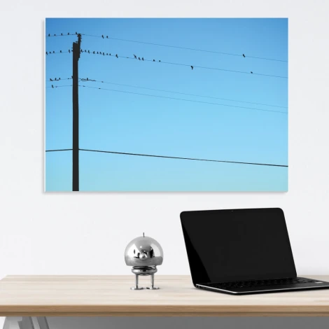 Magnetic dry-erase board with birds design on a blue background featuring birds perched on wires.