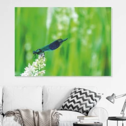 Magnetic dry-erase board with a dragonfly design on a green background featuring a dragonfly on a white flower.