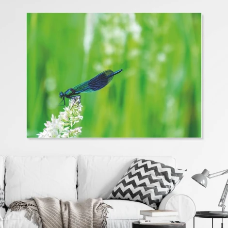 Magnetic dry-erase board with a dragonfly design on a green background featuring a dragonfly on a white flower.