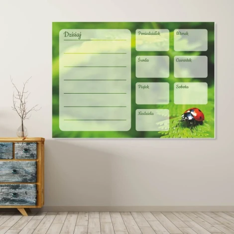 Magnetic dry-erase weekly planner board featuring a ladybug design, styled in a bright-colored living room.