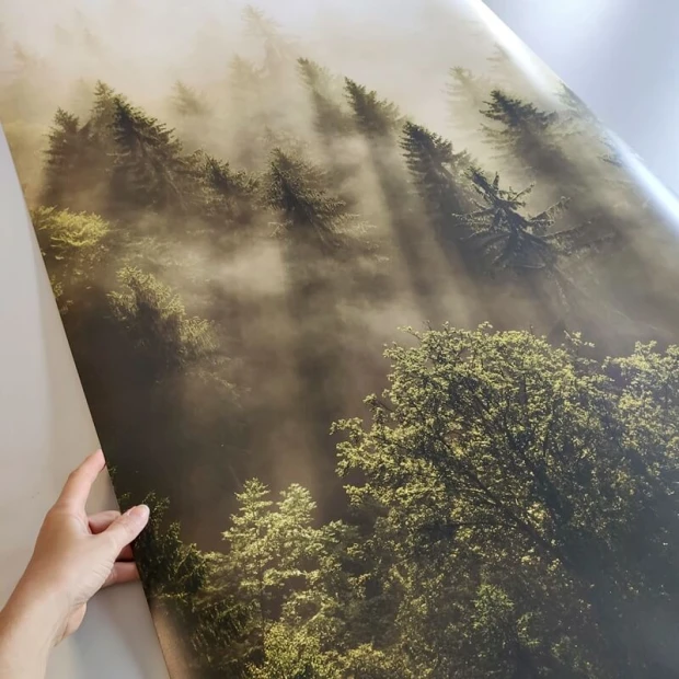 Photo poster 30x40 cm - Graphic design featuring a forest with trees and rays of light.