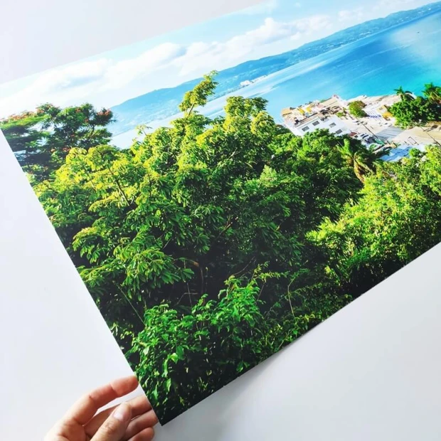 Photo poster 30x40 cm - Graphic design. Green leaves in the foreground, water and buildings in the background.