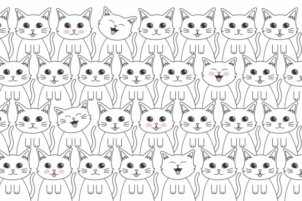 Children\'s wallpaper with cats 052 - Graphic design featuring smiling cats in various poses on a white background.
