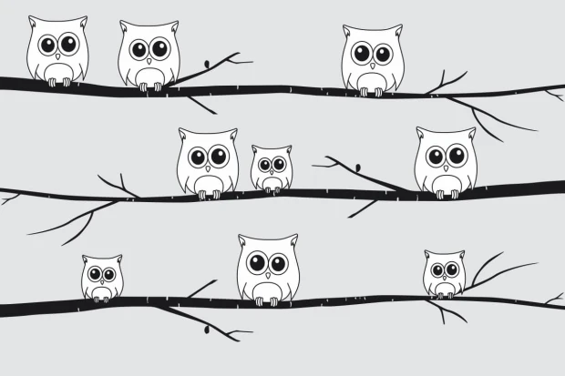 Child\'s room wallpaper owls 054 - Graphic design. Owls perched on branches in various sizes, in black and white.