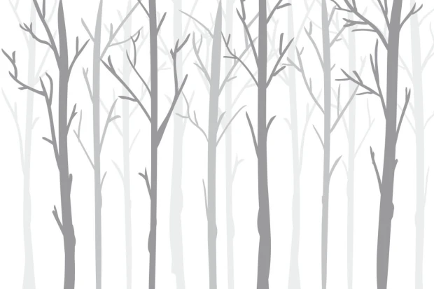 Tree wall mural 048 - Graphic design. Gray tree outlines on a white background with delicate branches.