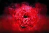 Wall wallpaper rose 030 - Graphic design. Large red rose with blurred colorful spots in the background.