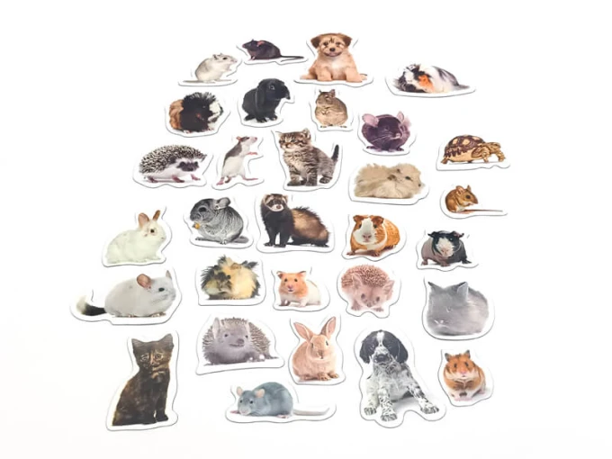 Magnets featuring pets - Graphic design with shapes of various pets, including dogs, cats, and rabbits.