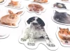 Magnets featuring graphic designs of various pets.