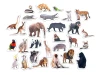 Magnets featuring exotic animals - Graphic design with various animals in realistic shapes.