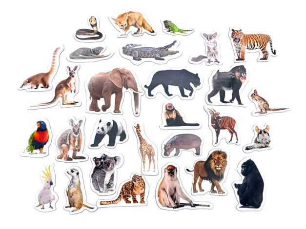 Magnets featuring exotic animals - Graphic design with various animals in realistic shapes.