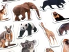 Magnets featuring exotic animals - Realistic shapes of various animals in a graphic design.