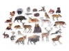 Forest animal magnets - Graphic design featuring realistic images of various woodland creatures on a white background.