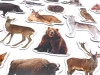 Forest animal magnets - Graphic design featuring various forest animals in realistic shapes.