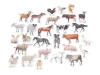 Farm animal magnets - Graphic design featuring various farm animals in realistic shapes.