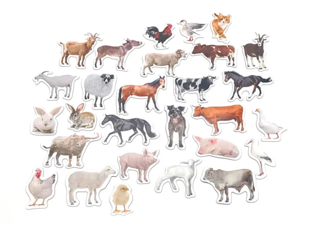 Farm animal magnets - Graphic design featuring various farm animals in realistic shapes.